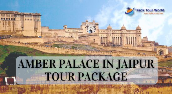 Amber Palace in Jaipur Tour Package