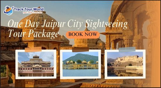 One Day Jaipur City Sightseeing Tour Package